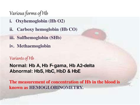 Solution Hemoglobin Estimation Studypool