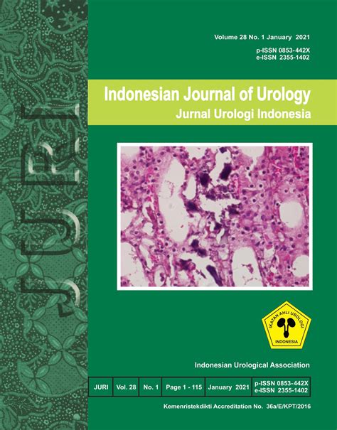 Vol No Indonesian Journal Of Urology