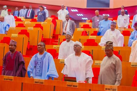 Senate Confirms Appointment Of New NSIPA National Coordinator Nigeria