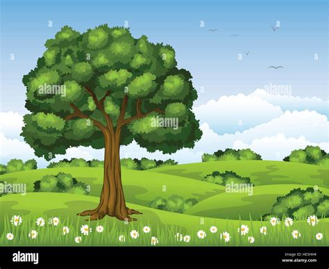 Summer Landscape With A Large Tree Stock Vector Image Art Alamy