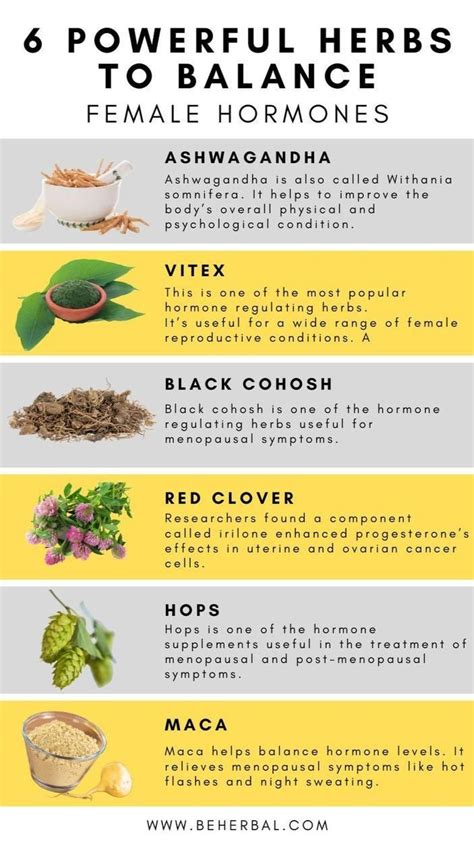 Powerful Herbs To Balance Female Hormones Holistic Nutrition Herbs