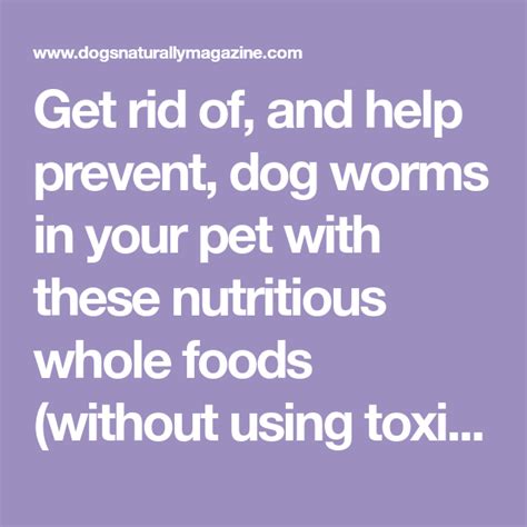 Get rid of, and help prevent, dog worms in your pet with these nutritious whole foods (without ...