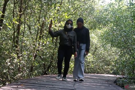 BRIN Jadikan Hutan Mangrove Gunung Anyar Surabaya Sebagai Kebun Raya