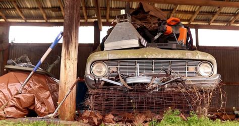 This Ford Falcon Barn Find Leads To Treasure Trove Of Classic Muscle