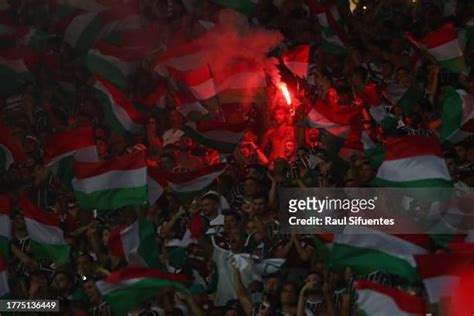 2,373 Fluminense Fans Stock Photos, High-Res Pictures, and Images ...