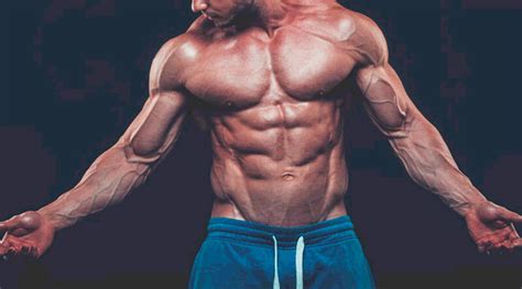 Trenbolone Significato Dosaggio Ciclo Effetti Collaterali