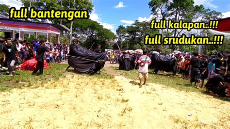 Full Bantengan Kalapan Pasukan Srodok Bantengan Lapangan Jabung