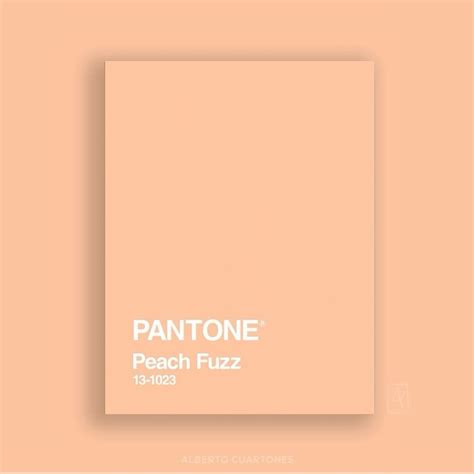 Pantone Colour Of The Year 2024 In 2024 Peach Fuzz Pantone Pantone