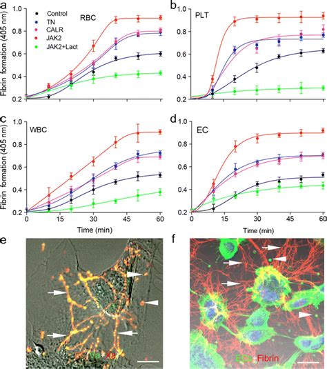 Fibrin Formation And Inhibition On Blood Cells ECs And FVa FXa