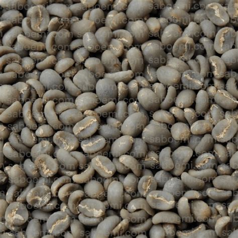 Coffee Green Beans Inaexport