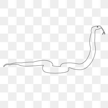 Snake Outline Vector Art HD Images | Free Download on Pngtree