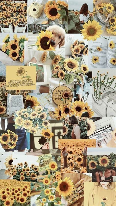 Background Lockscreen Sunflower Wallpaper : You can also upload and ...