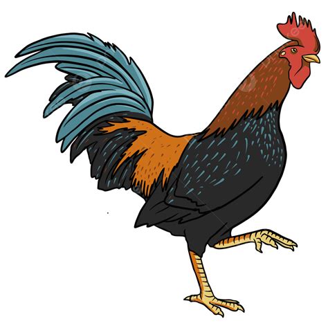 Rooster Rooster Chicken The Rooster Crows Chicken Png And Vector