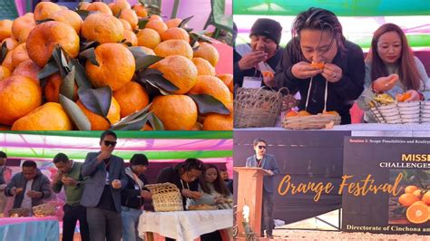 2nd Orange Festival Day 1 In Mungpoo Darjeeling YouTube