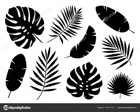 Silhouettes Noires Feuilles Palmiers Tropicaux Isolées Sur Fond Blanc