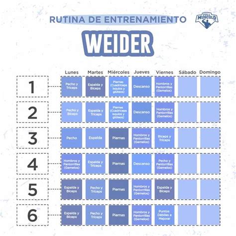 Cómo Planificar Una Rutina Weider De 5 Días • Fullmusculo