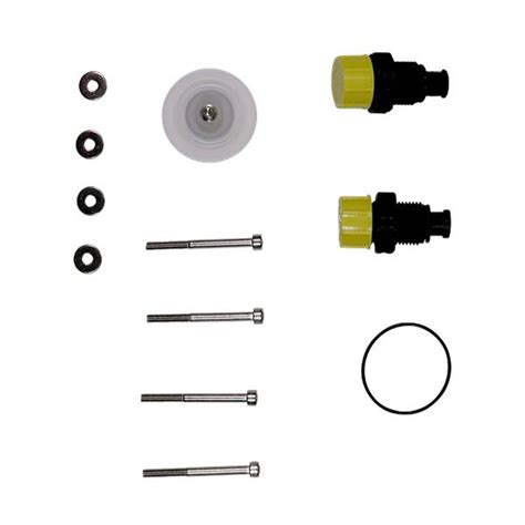 Ktechs Grundfos Valve Diaphragm Kit For Smart Digital Dosing Pump