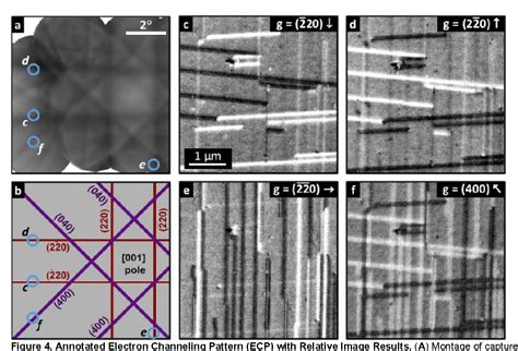 Figure 4 From Electron Channeling Contrast Imaging For Rapid III V