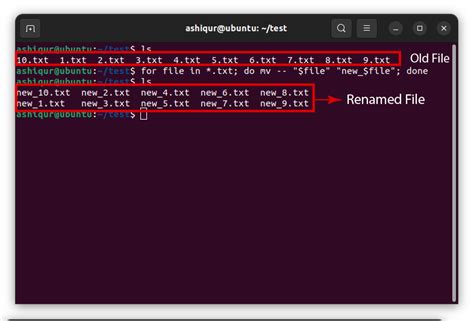 3 Easy Ways To Rename Files In Linux Terminal Linovox