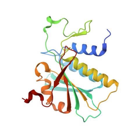 Gene Q03154 Protein ACY1 Overview CanSAR Ai