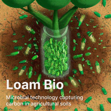 Loam Bio 110m To Use Microbes To Capture Co2 From The Air And Store