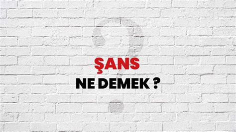 Ans Ne Demek Ne Anlama Gelir Ans Kelimesi Tdk S Zl K Anlam Nedir