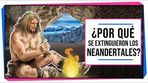 ¿por Qué Se Extinguieron Los Neandertales AntropologÍa Youtube