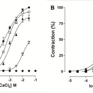 Cumulative Concentration Response Curves To Cacl In A Depolarizing