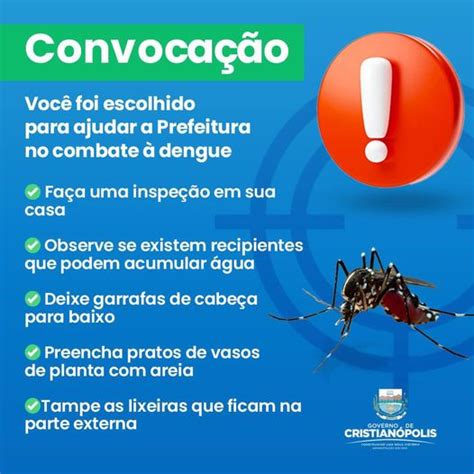 Combate Ao Aedes Aegypti Prefeitura De Cristian Polis