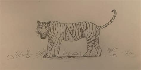 Man-Eaters: The Champawat Tiger by PaleoBean on DeviantArt