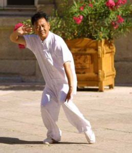 Tai Chi Lyon Taichi Chuan Style Chen Lyon Croix Rousse Caluire