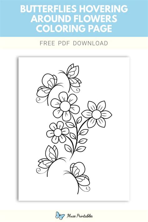 Free Butterflies Hovering Around Flowers Coloring Page Butterfly