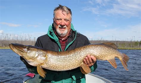 Manitoba Fishing | Lynn Lake Camps