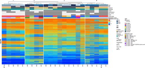 Unsupervised Hierarchical Clustering Of Dna Methylation Profiling Data Download Scientific