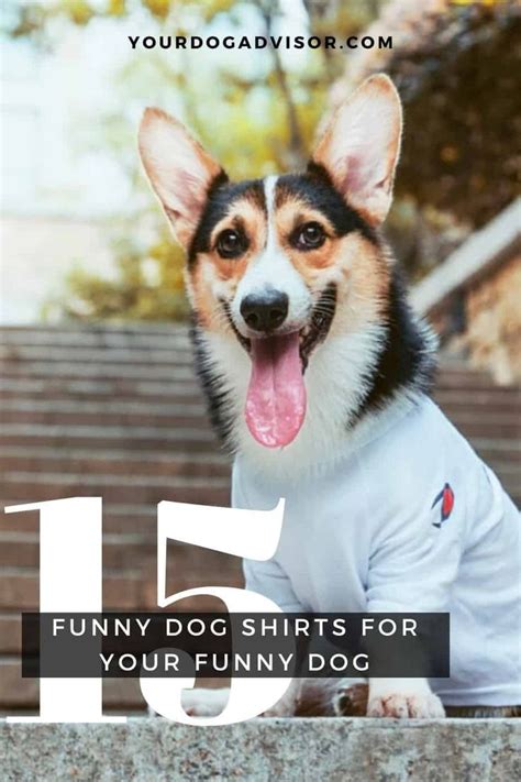 15 Funny Dog Shirts For Your Funny Dog | Your Dog Advisor | Funny dog ...