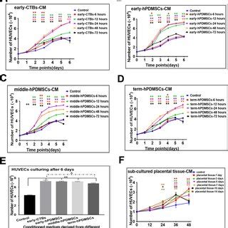 The Pro Adhesive Effect Of Conditioned Medium Derived From Different