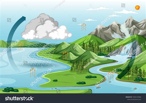 Nature Landscape Water Cycle Diagram Illustration Stock Vector (Royalty Free) 1969218586 ...