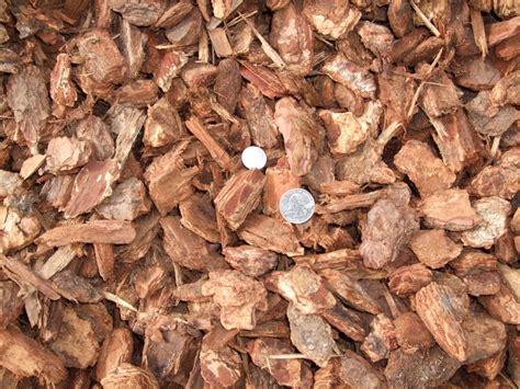 Medium Fir Bark