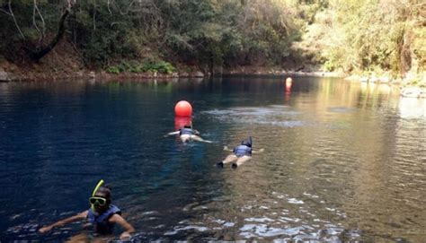 Flutua O Na Lagoa Misteriosa Bonito Ms Passeios