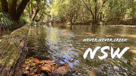 The Hidden Gem Of Never Never Creek Nsw Youtube