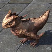 Online Bantam Guar Pet The Unofficial Elder Scrolls Pages Uesp