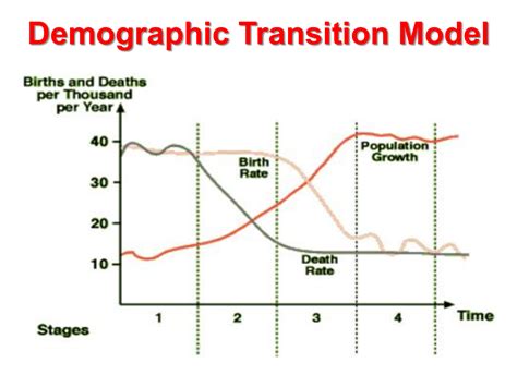 Blank Demographic Transition Model Worksheet Examples And Zac Sheet