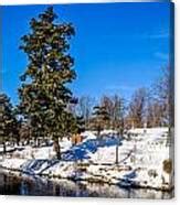 Scajaquada Creek Through Forest Lawn Photograph By Chris Bordeleau