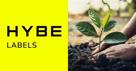 HYBE Labels Gets A Little Praise For Their Action To Protect The ...