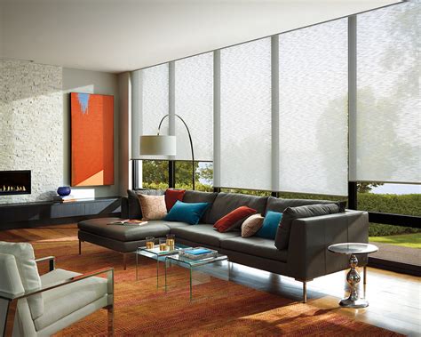 Hunter Douglas Alustra® Woven Textures® Roller Shades Contemporary Living Room Other By