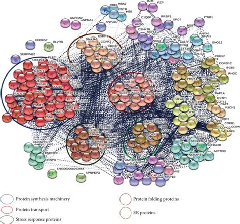 (a) Visualization of protein–protein interaction network of... | Download Scientific Diagram