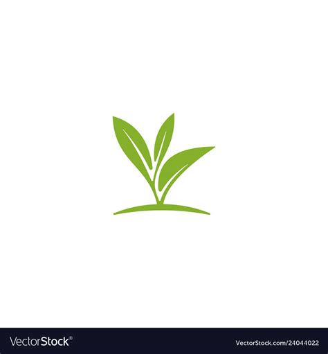 Leaf logo tea design Royalty Free Vector Image