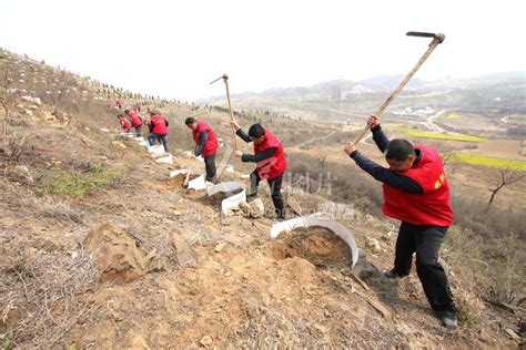 河北邯郸：党员志愿者为荒山披绿装 人民图片网