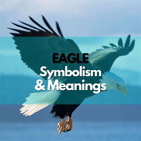 Eagle: Symbolism, Meanings, and History - Symbol Genie