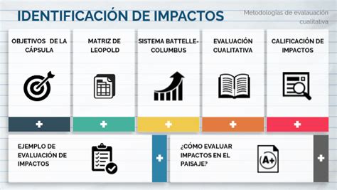 Identificación Y Evaluación Cualitativa De Impactos Ambientales